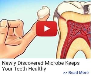 New Discovery Microbe Keeps Your Teeth Healthy