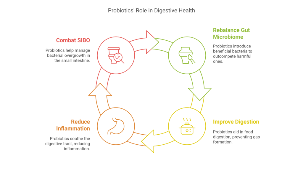 How Probiotics Can Help Restoring Balance from Within