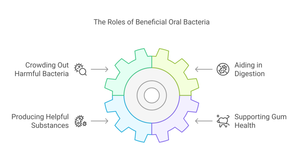 The Heroes of Your Smile Meet the Beneficial Bacteria