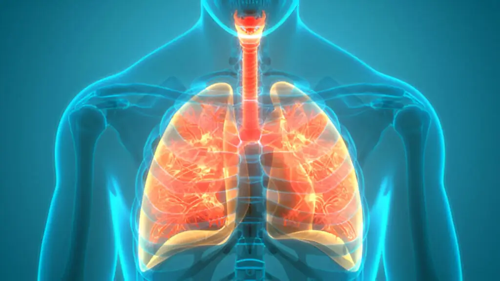 Oral Health & Lung Health The Surprising Connection for Respiratory Wellness