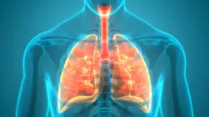 Oral Health & Lung Health The Surprising Connection for Respiratory Wellness