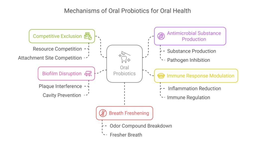 The Science Behind the Smile How Oral Probiotics Work