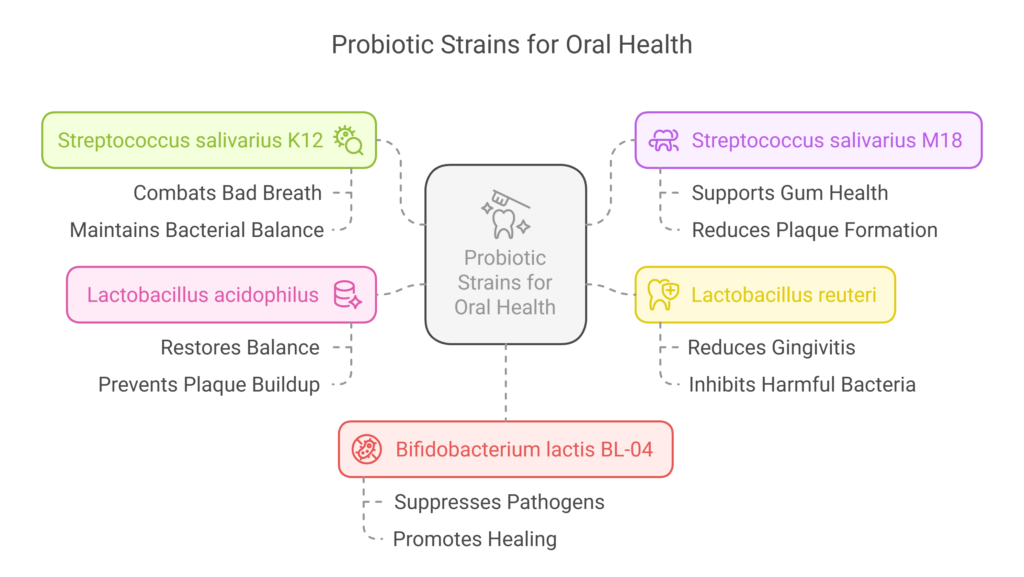 Unlock a Healthier Smile The Power of the Best Probiotics for Oral Health - Unveiling the Top Probiotic Strains for a Healthy Mouth